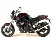 Yamaha BT1100 Bulldog Yamaha BT1100 Bulldog